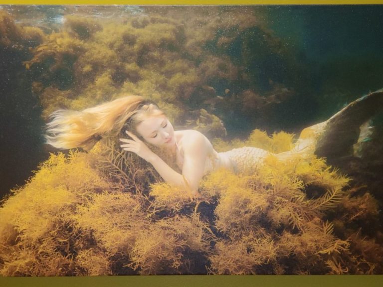 Mermaid-on-Moss-2048x1536