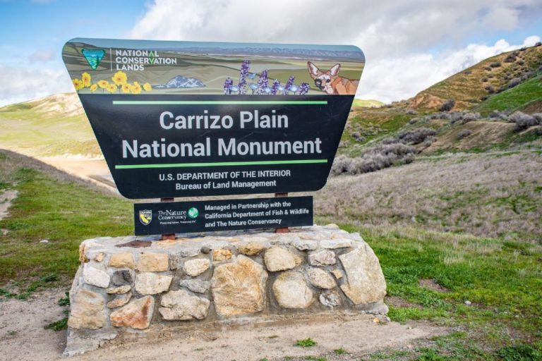 Carrizo-Plain-National-Monument-Sign-2_Mar-2019_Bryant-Baker_web