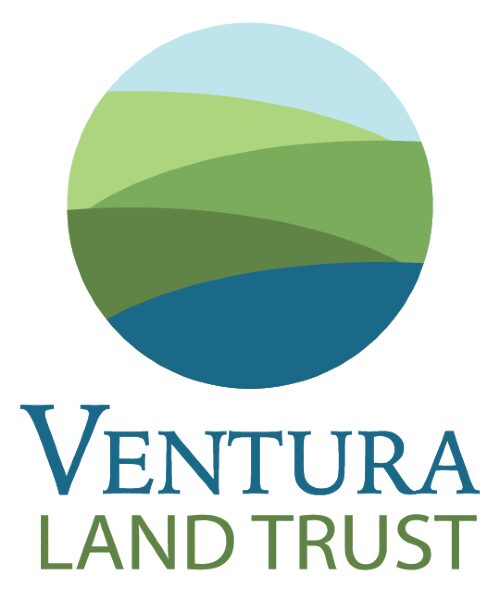 VLT-Vertical-Logo