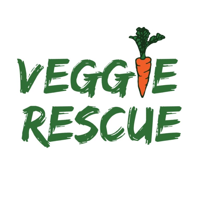 VRlogocircle