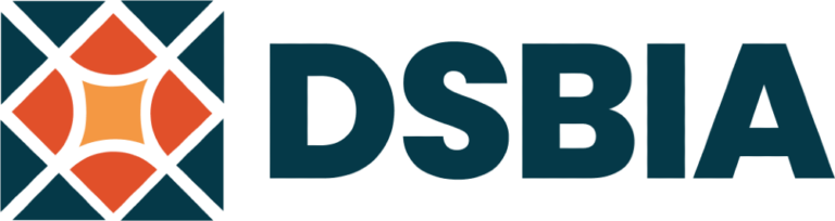 DSBIA_C2
