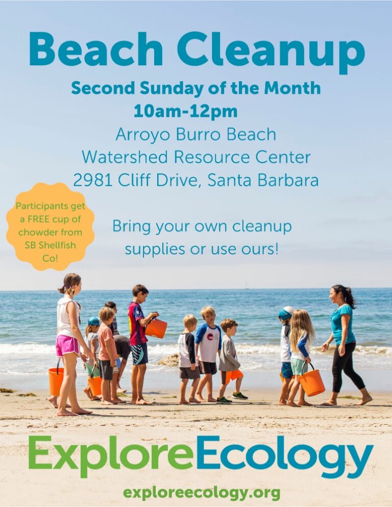 Beach-Cleanup-Flyer