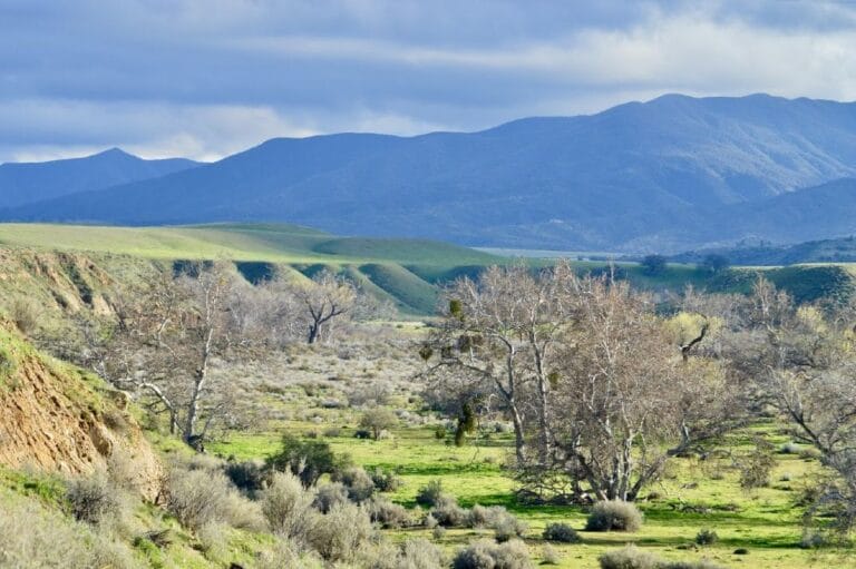 Cuyama-Valley-and-Sierra-Madre-Mountains-Bryant-Baker