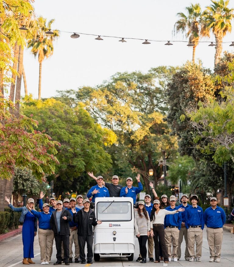 DSBIA-Team-Photo-Resized