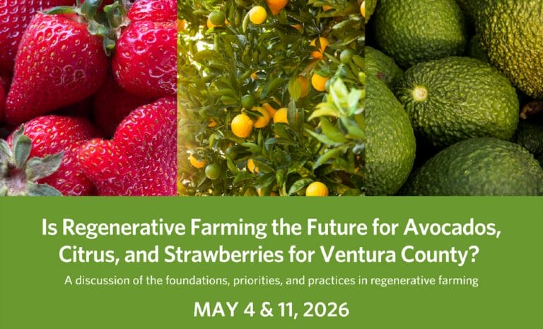 Regenerative-Conference-Banner