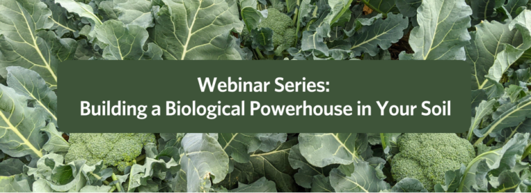 Webinar-Series-Banner1