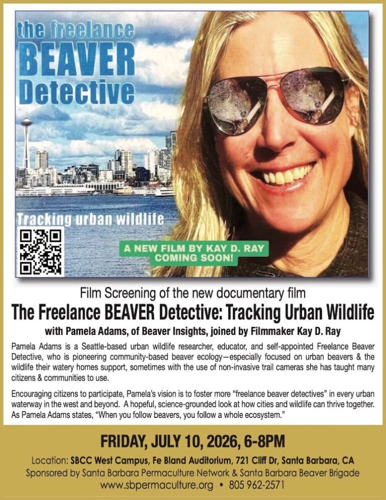 AD-Beaver-Dectective-2-SB-Voice-6.19.26-SB-permaculture