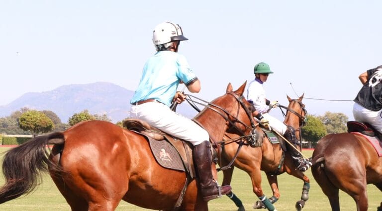 Polo-1