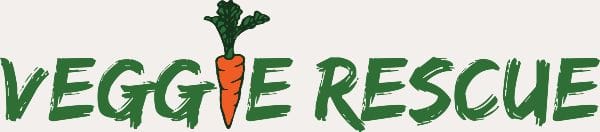 VR-Main-Logo-Orange-No-Tagline