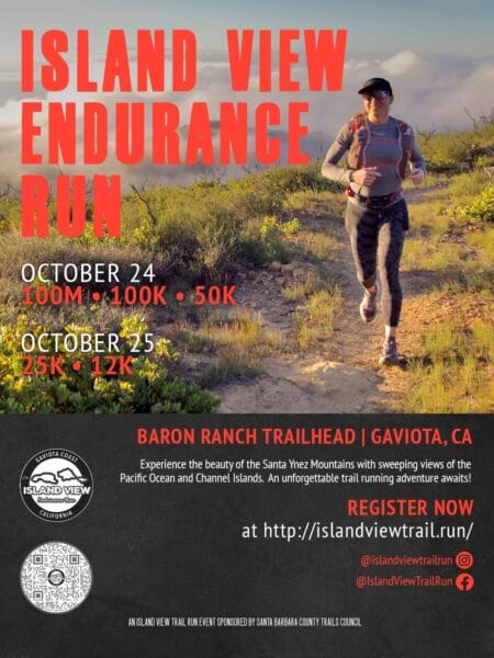 Endurance Run Poster