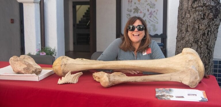 Curatorial-Assistant-Liz-Flint-J.D.-shares-real-and-replica-mammoth-bones-during-Earth-Science-Week-2025