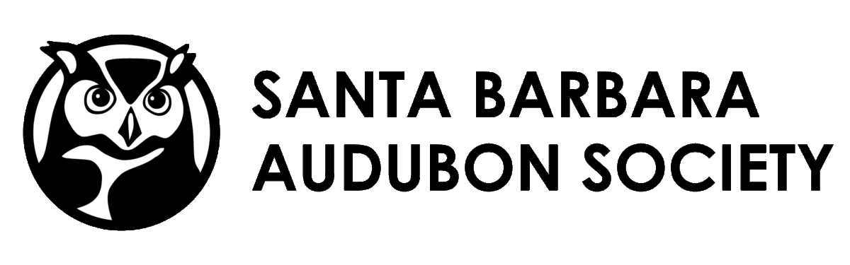 Santa Barbara Audubon