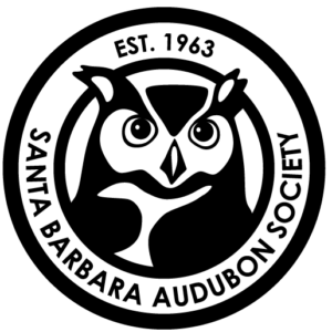 Santa Barbara Audubon